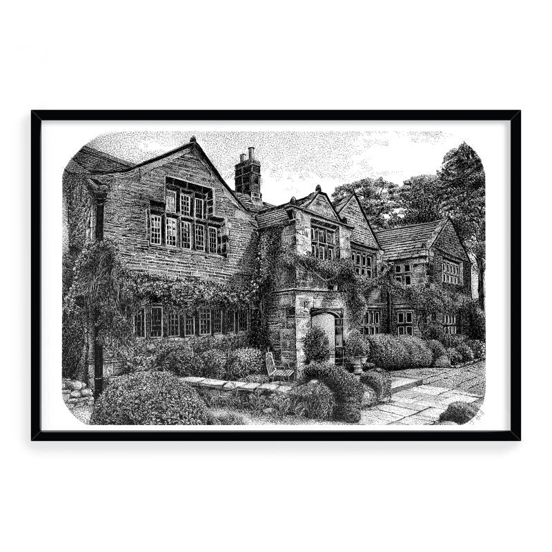 Julia Hill - Framed Print